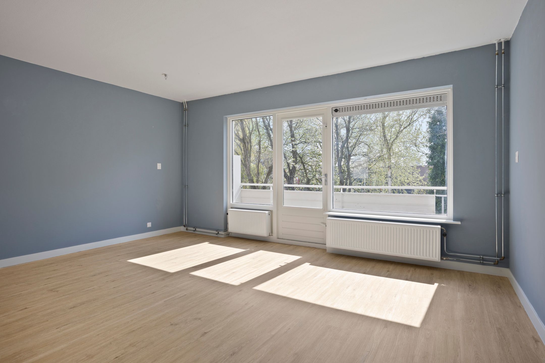 Foto 6 van Waterman 81