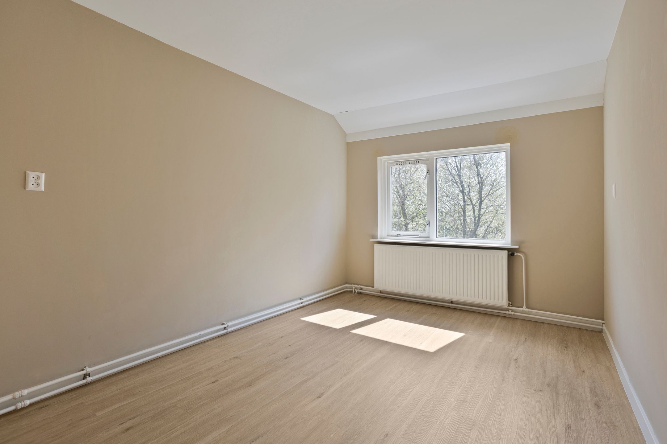 Foto 18 van Waterman 81