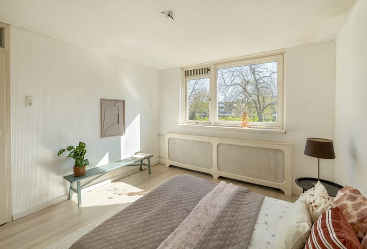 Foto 4 van Galjoen 64