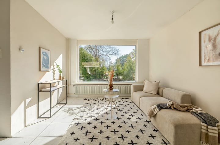 Foto 2 van Galjoen 64