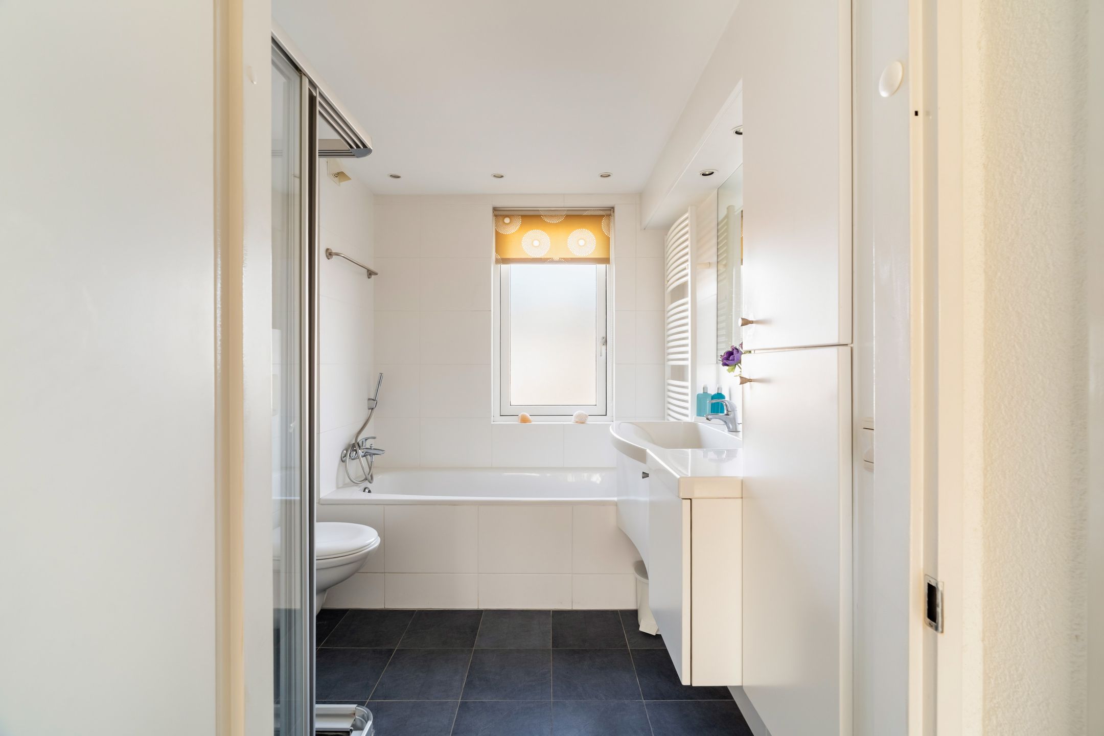 Foto 45 van Laan van Delfland 43