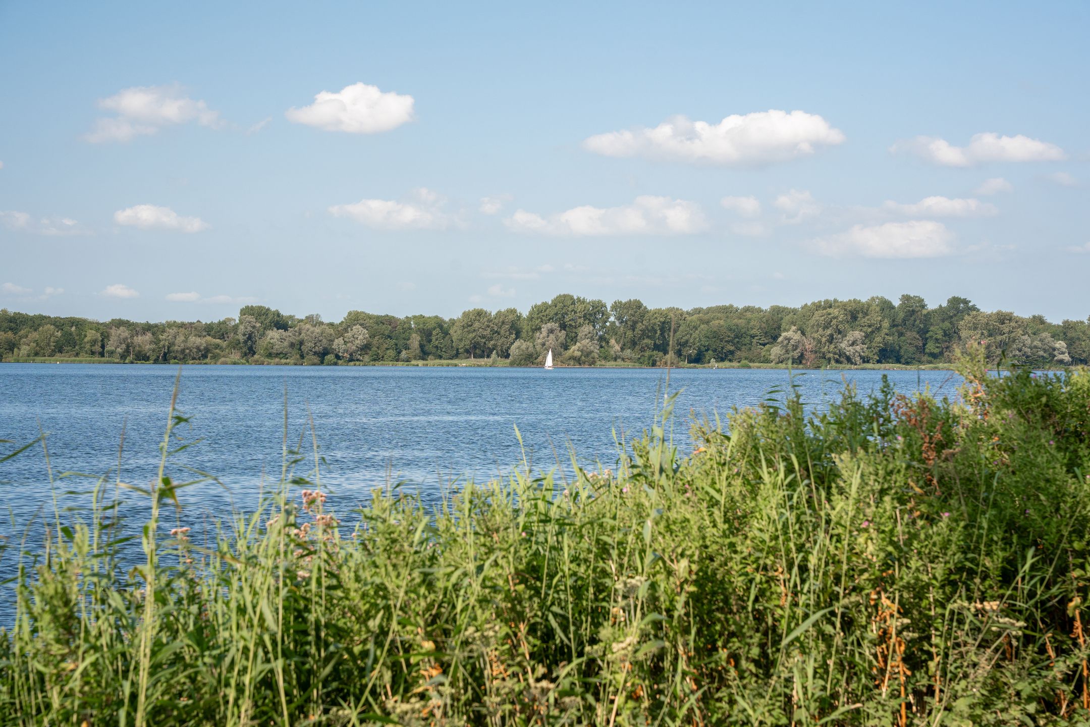 Foto 36 van Jaffa 18-C