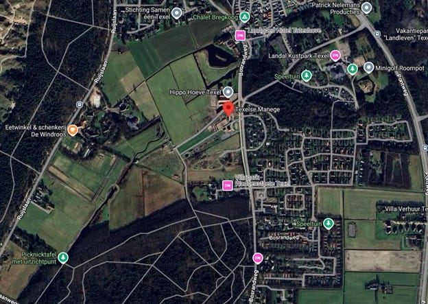 Bosrandweg 248 - De Koog - Afbeelding 4