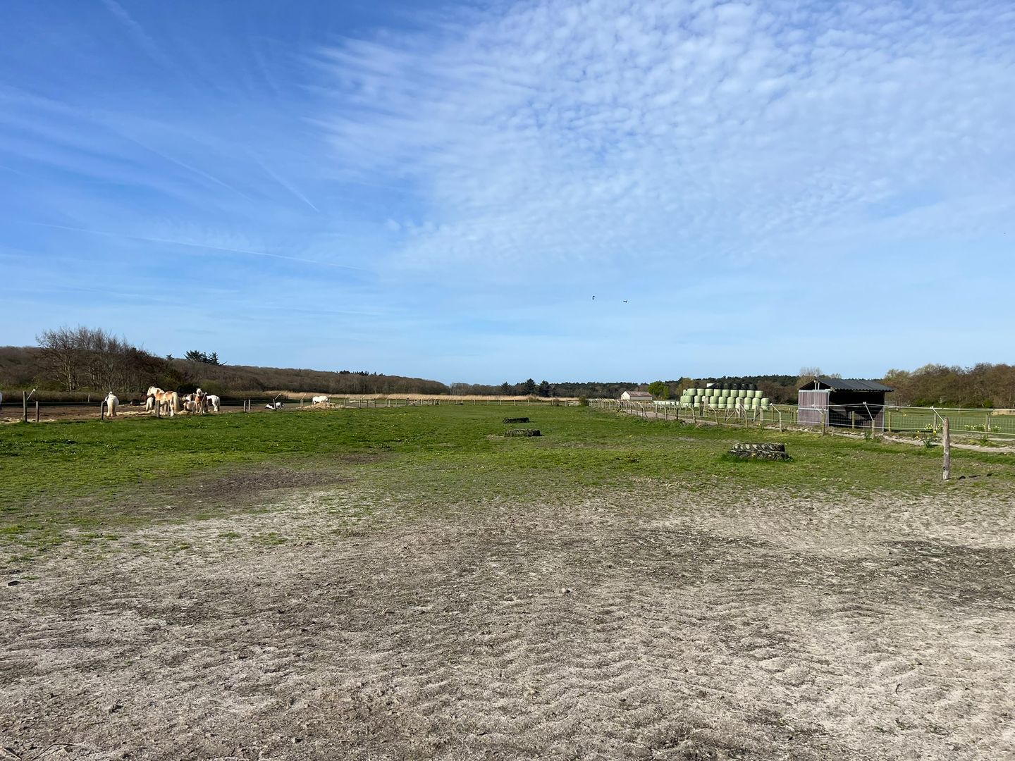 Bosrandweg 248 - De Koog - Afbeelding 5