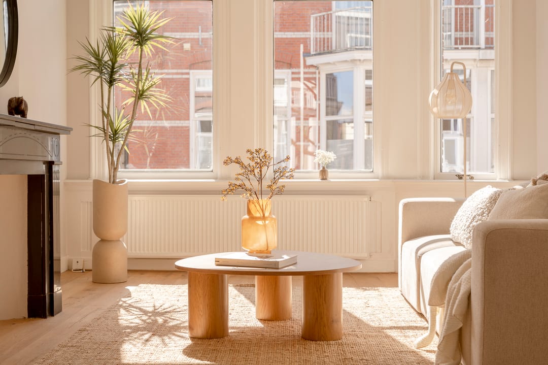 Foto 8 van Snelliusstraat 7