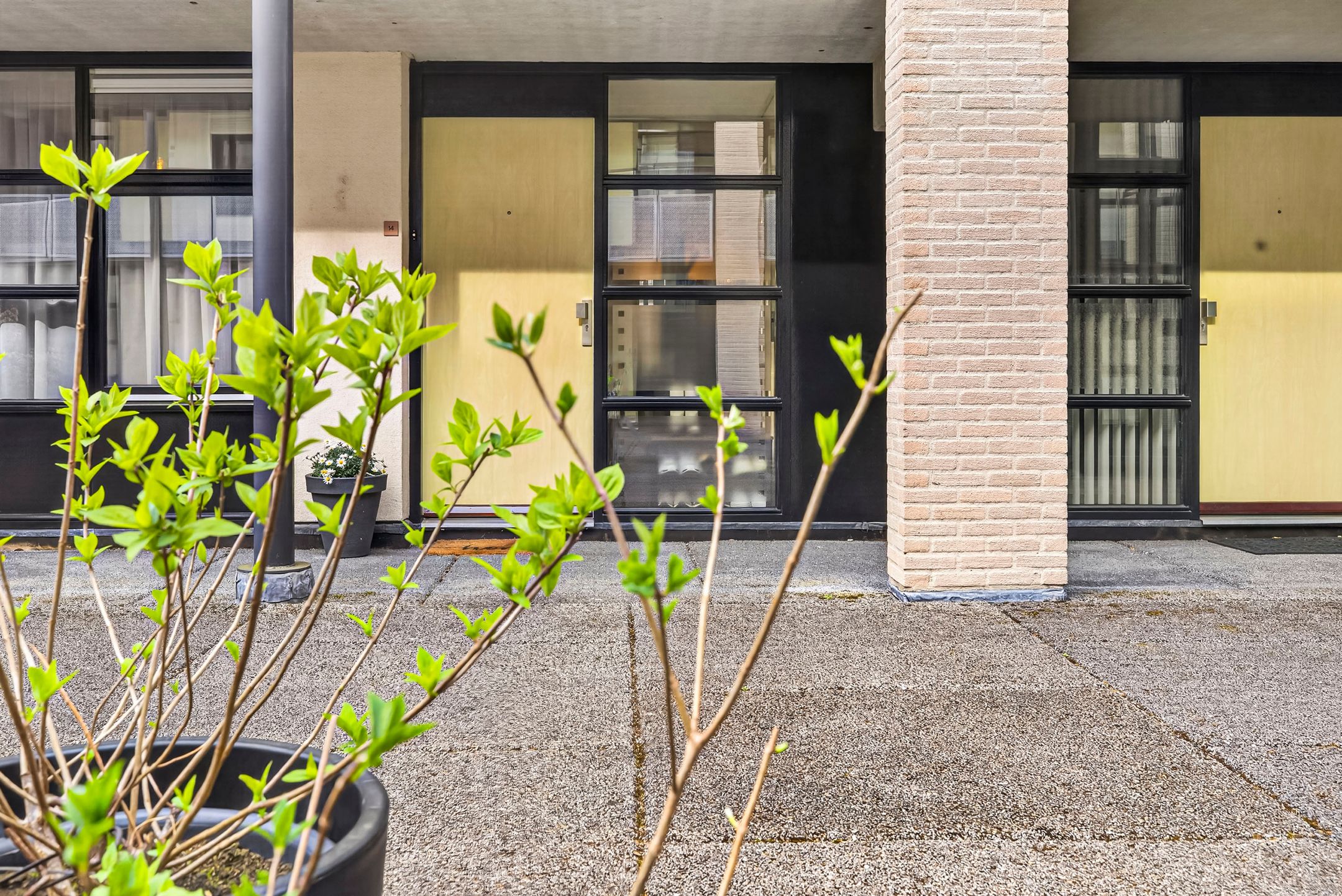 Foto 6 van Dubceksingel 14