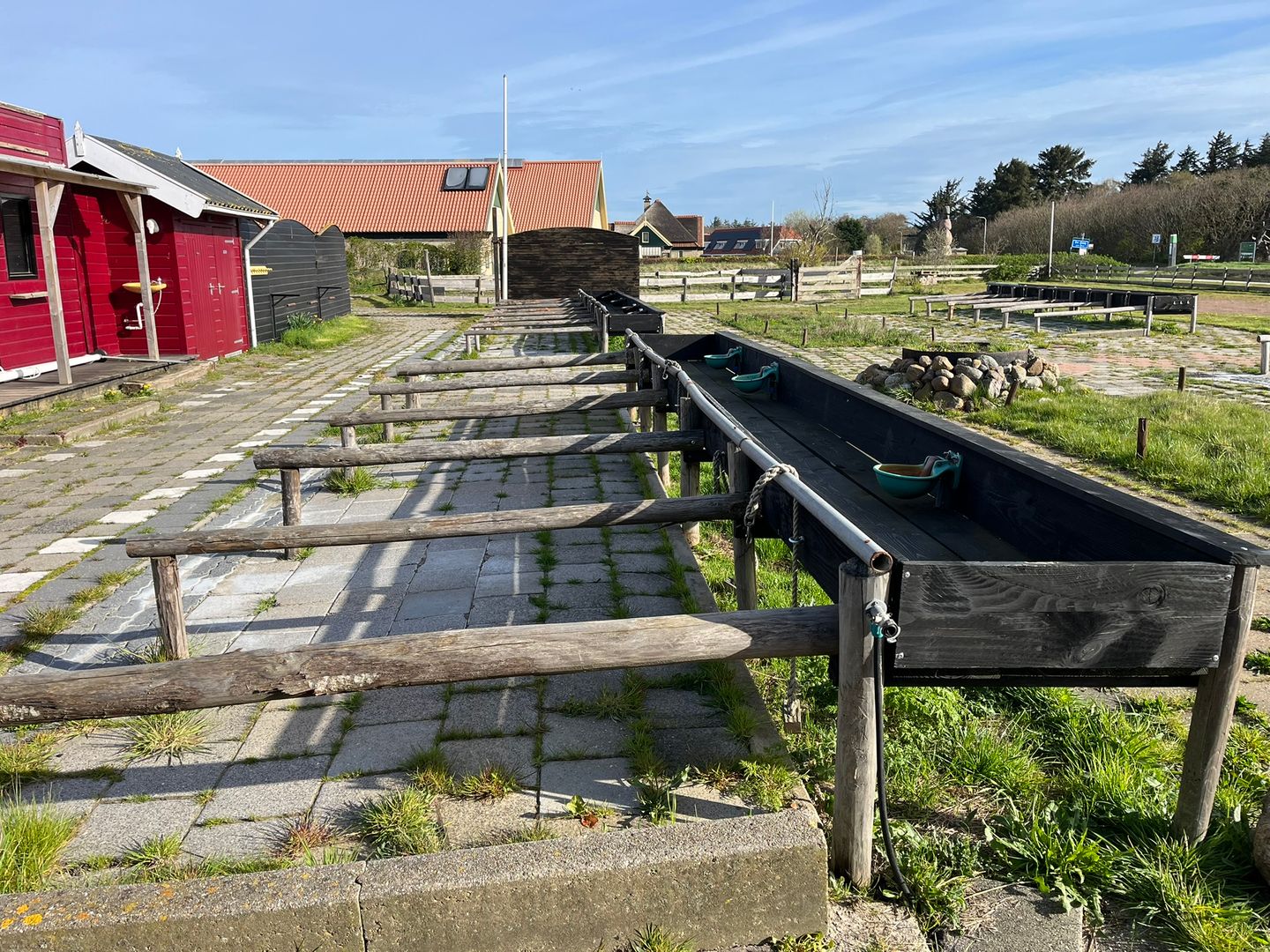 Bosrandweg 248 - De Koog - Afbeelding 7