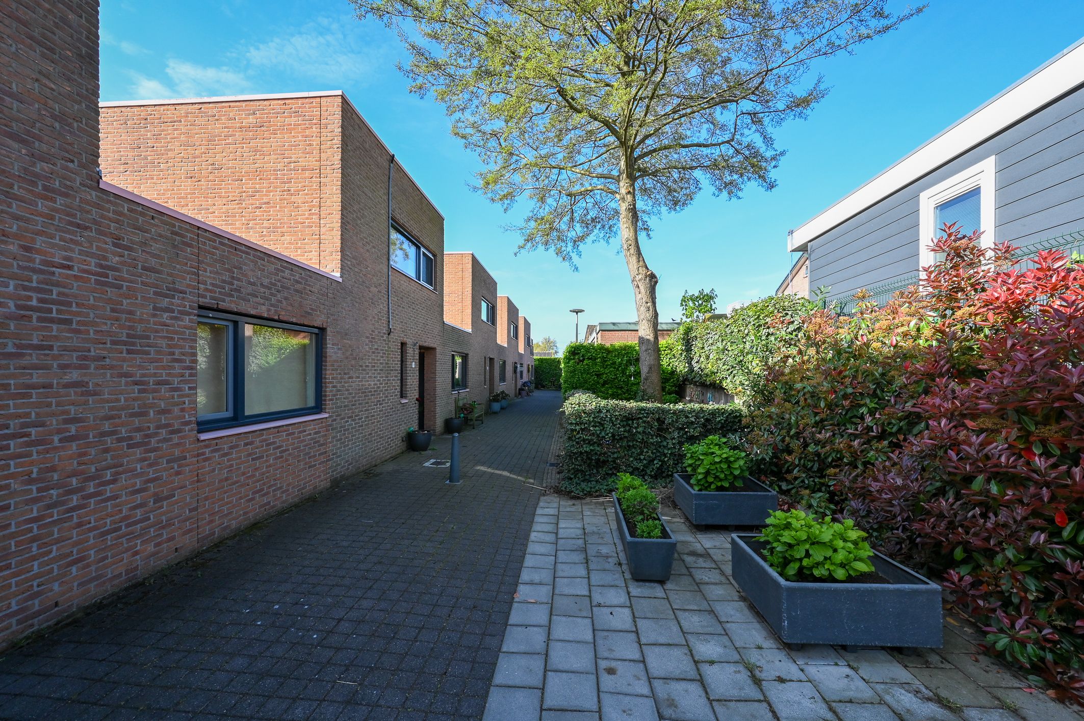 Foto 6 van Meester Steenwegpad 2