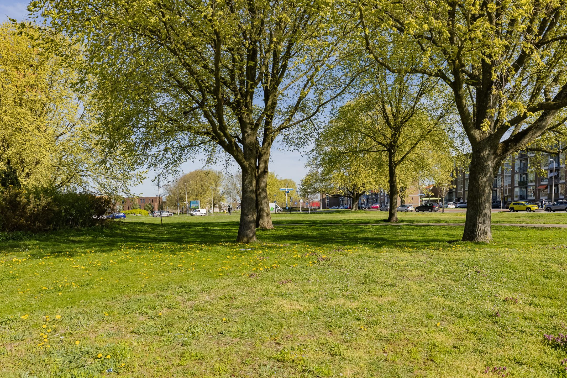 Photo 48 of Radarstraat 107