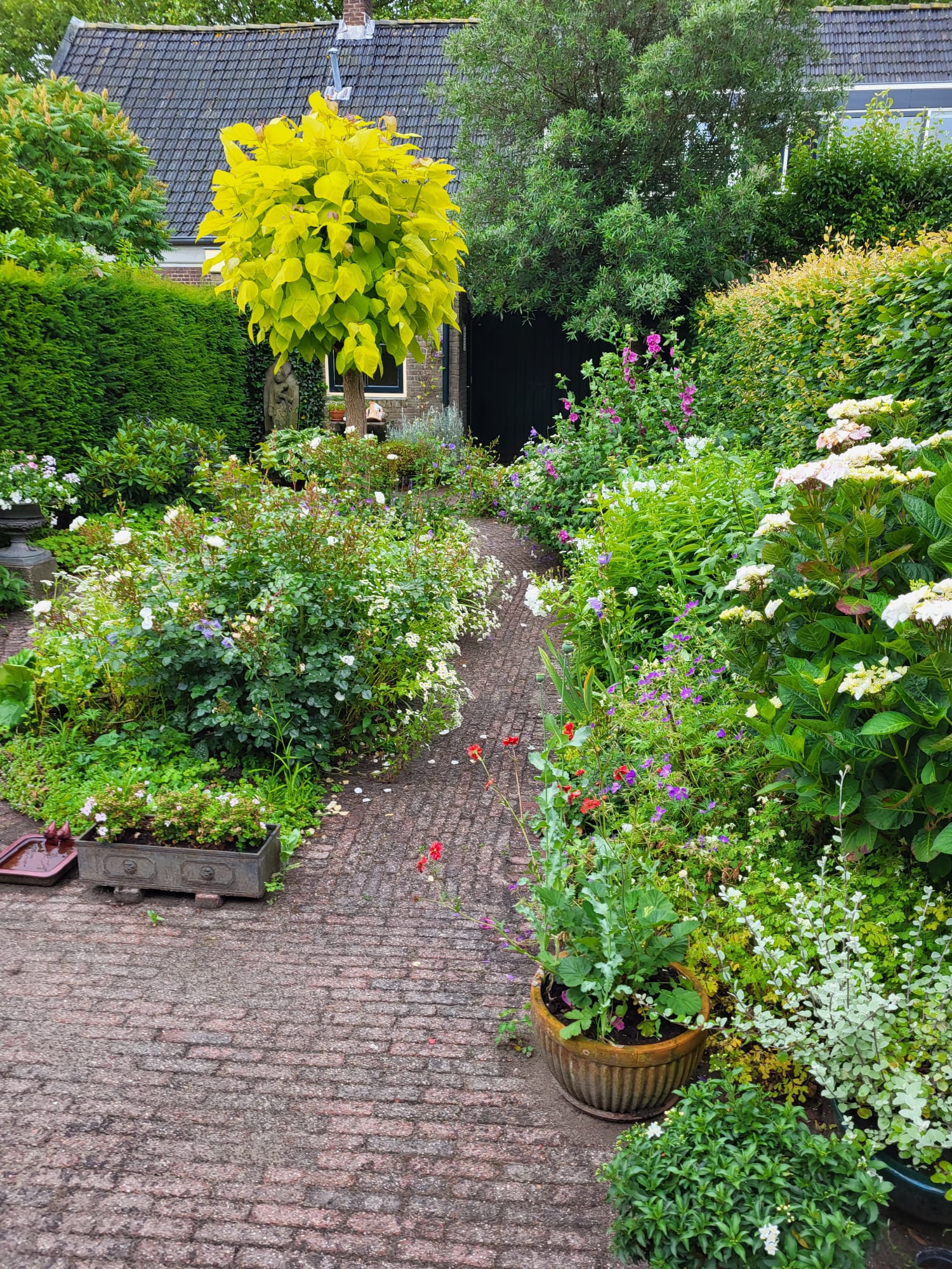 Foto 24 van Melkweg 8