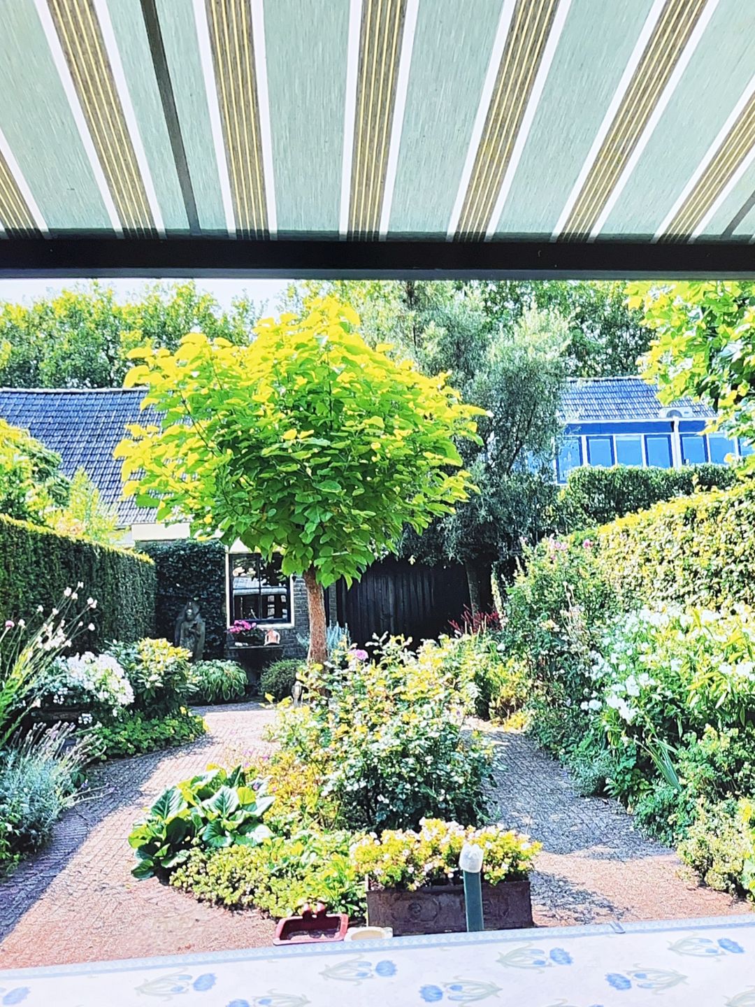 Foto 26 van Melkweg 8