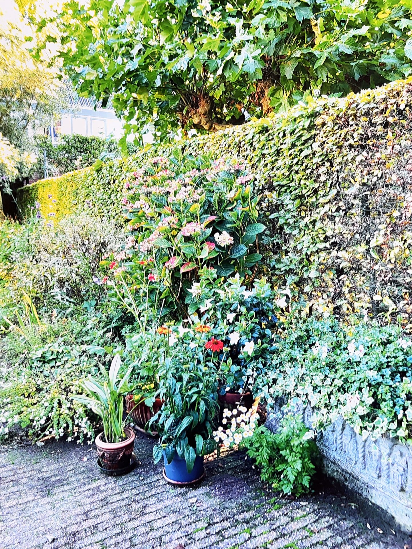 Foto 25 van Melkweg 8