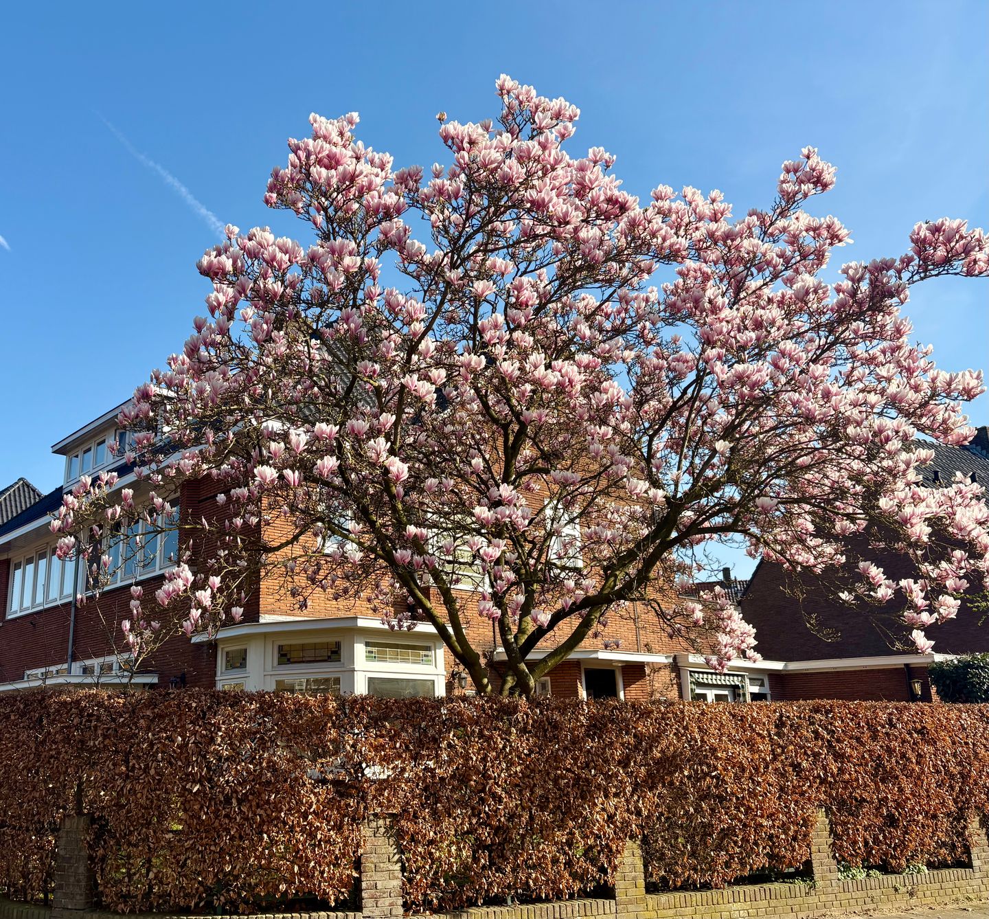 Foto 55 van Madoerastraat 1