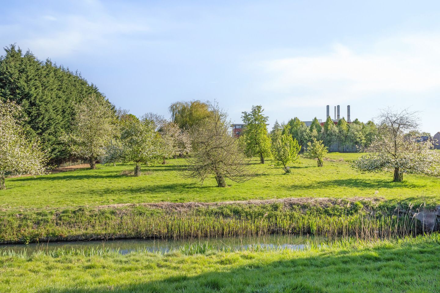 Photo 59 of Carnisseweg 59