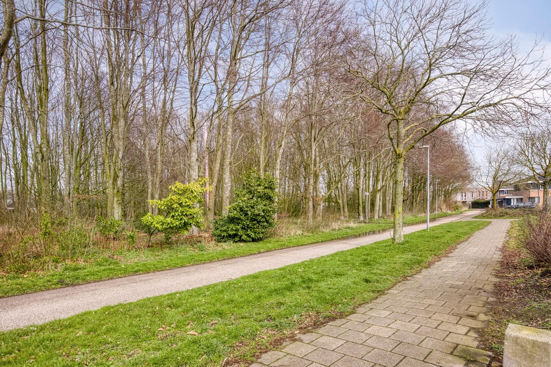 Photo 52 of Robert Stolzhof 203