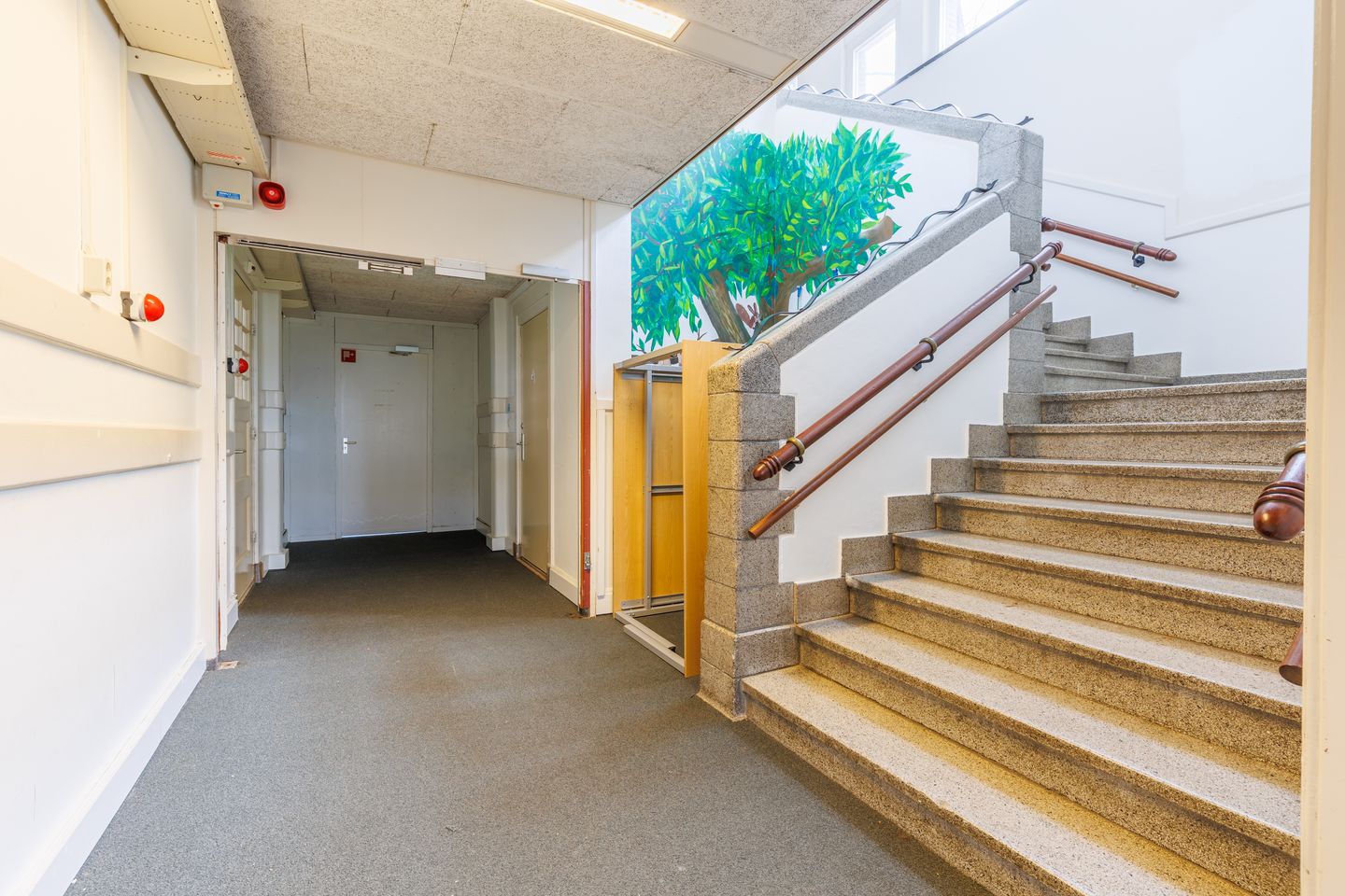 Bekijk foto 5 van Fabianusstraat 4