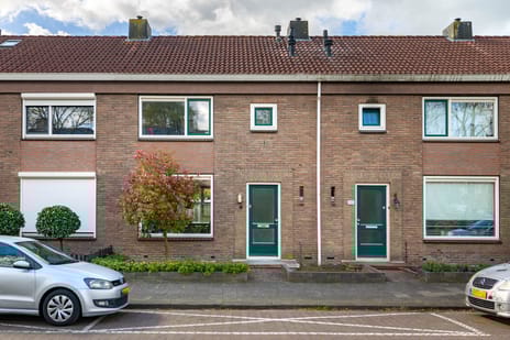 undefined main image