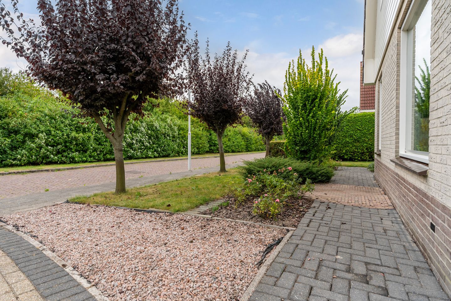 Foto 44 van Lege Marren 5