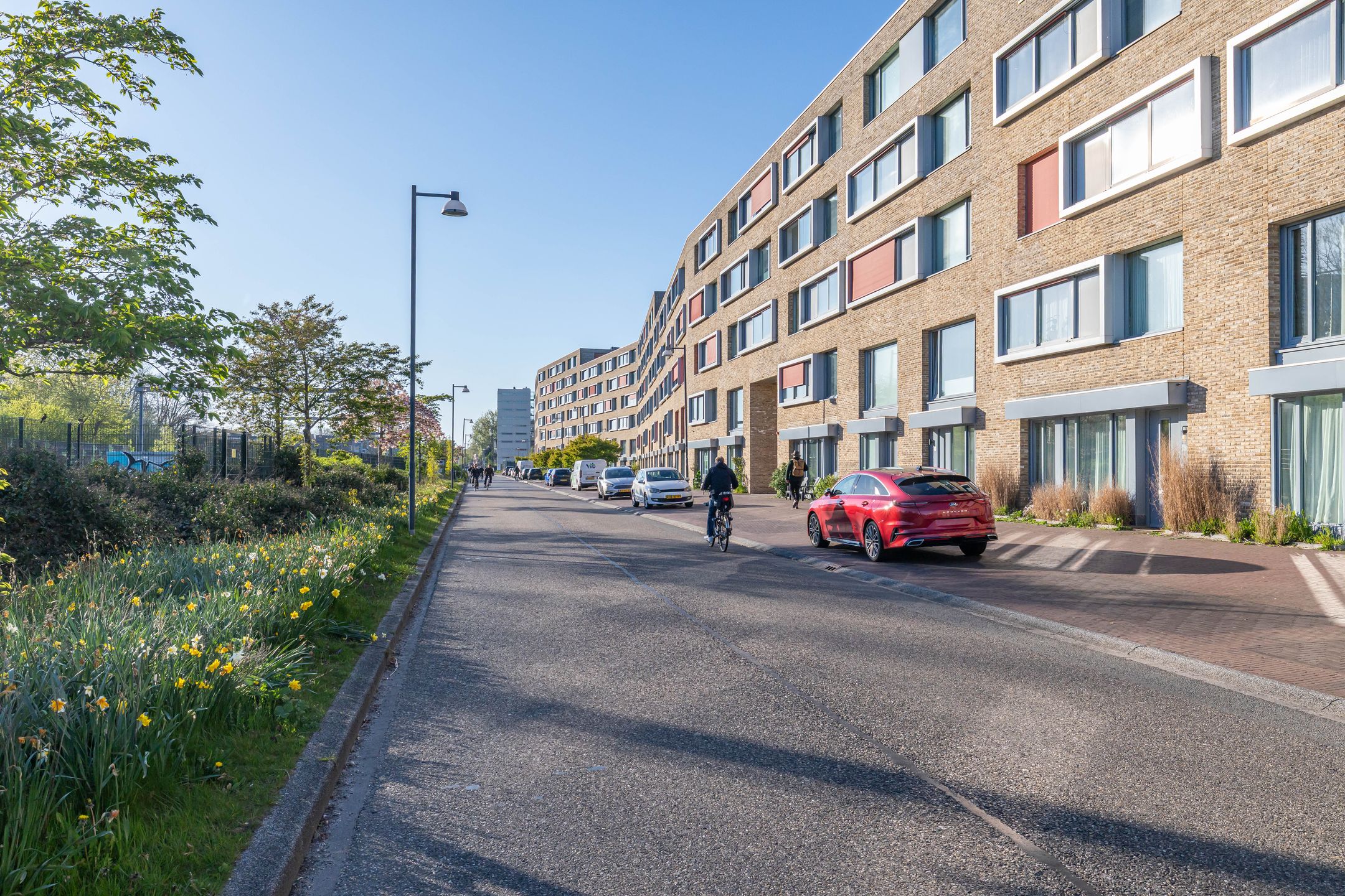 Verlengde Lodewijkstraat 204 