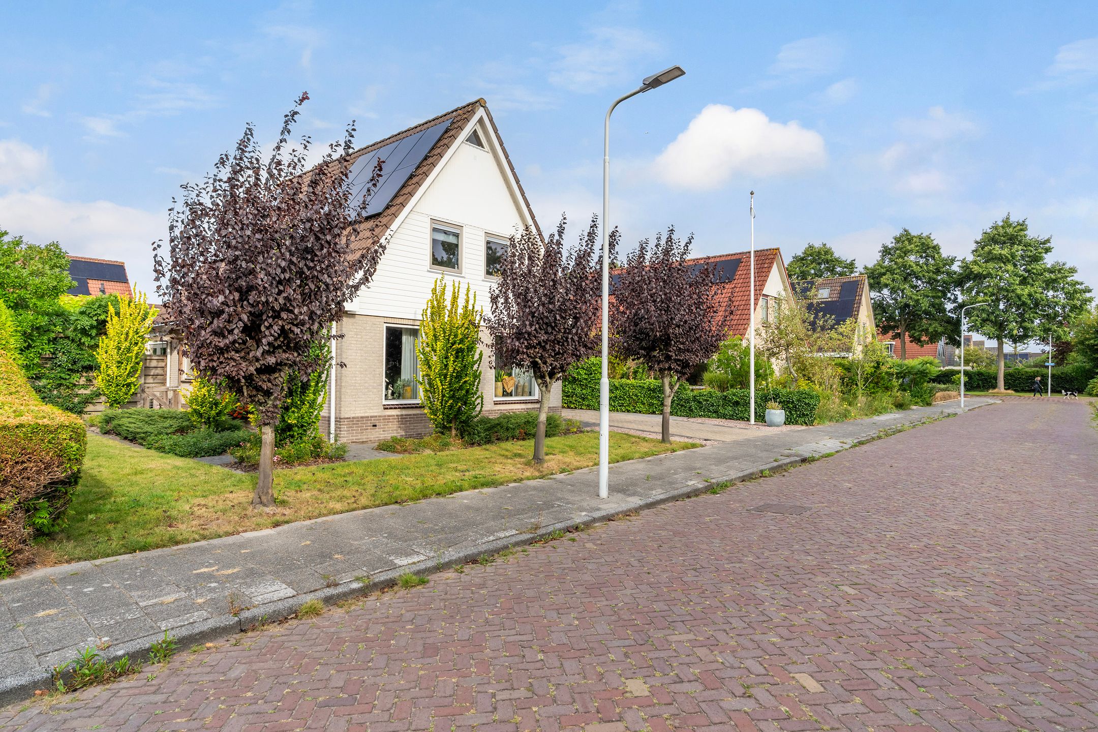 Foto 48 van Lege Marren 5