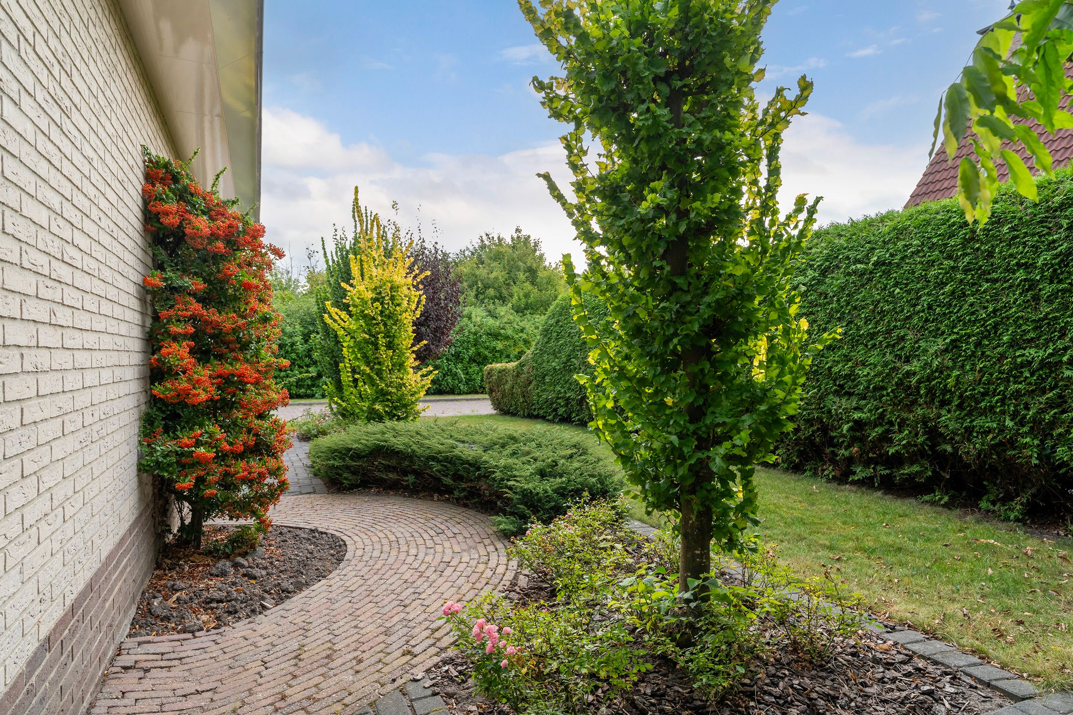 Foto 3 van Lege Marren 5