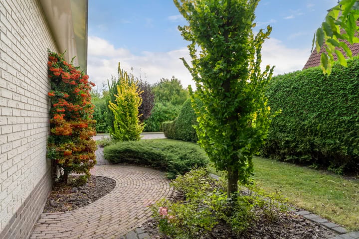 Foto 3 van Lege Marren 5