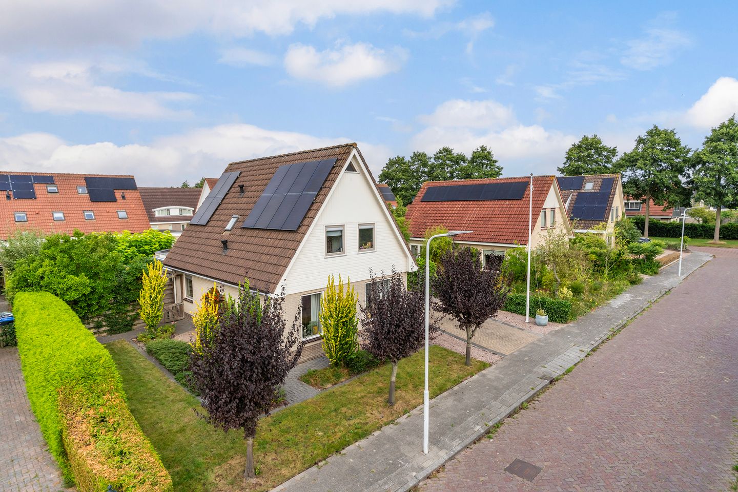 Foto 49 van Lege Marren 5