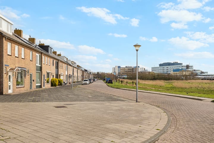 Foto 3 van Abel Tasmanstraat 14