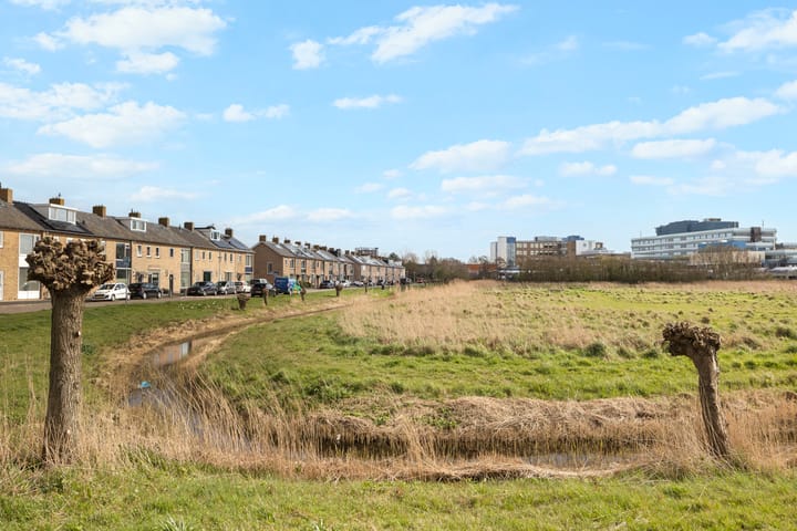 Foto 4 van Abel Tasmanstraat 14