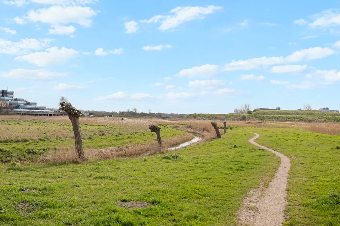 Foto 32 van Abel Tasmanstraat 14