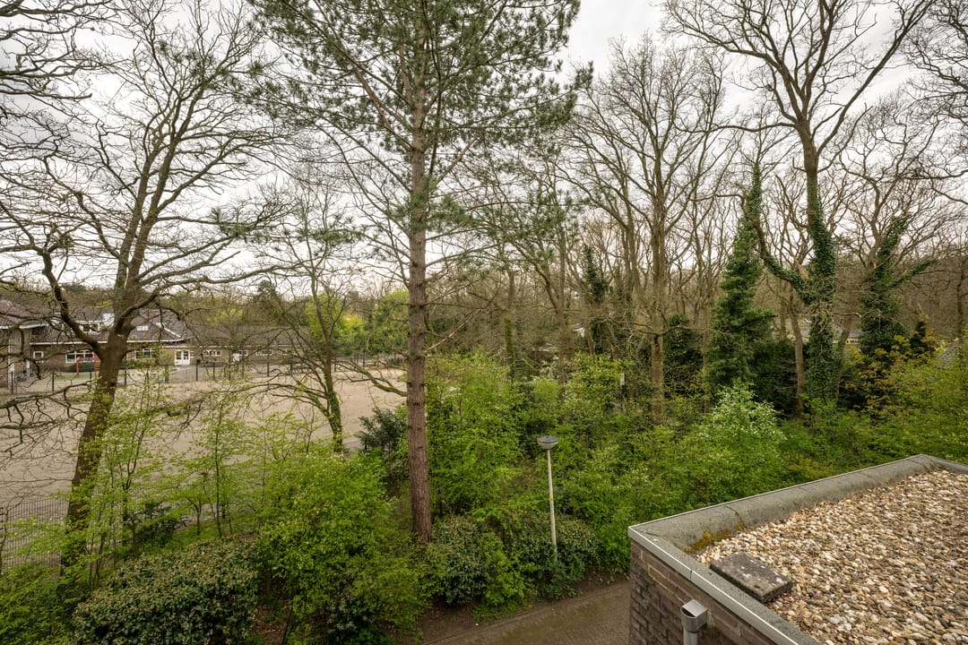 Foto 16 van Generaal Winkelmanlaan 59