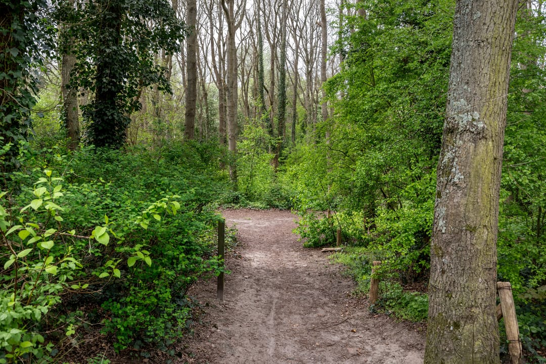 Foto 23 van Generaal Winkelmanlaan 59