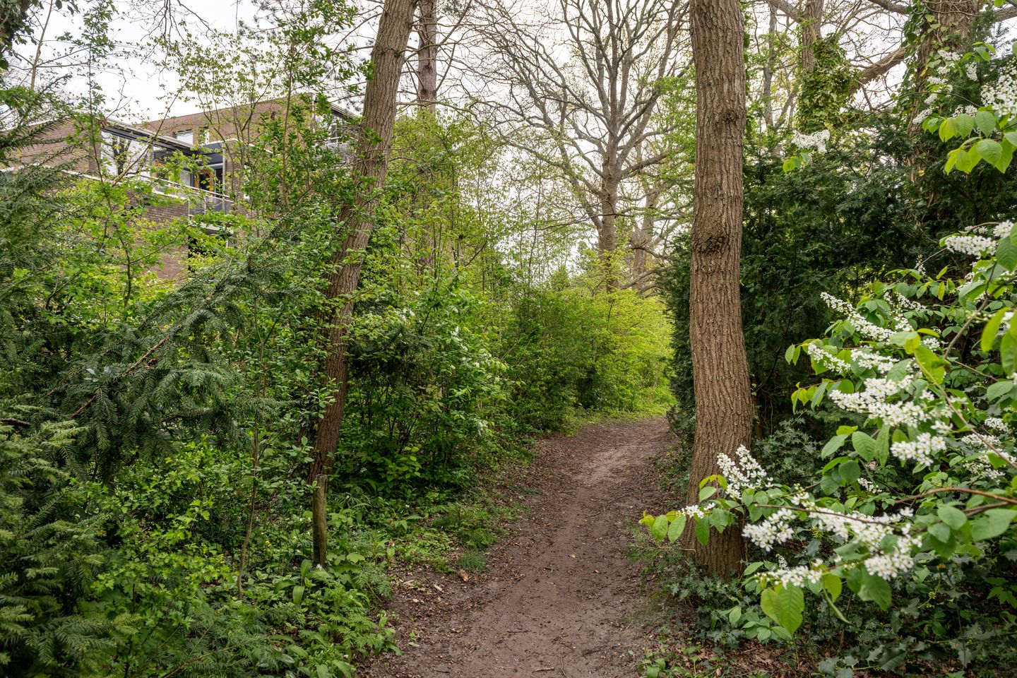 Foto 20 van Generaal Winkelmanlaan 59