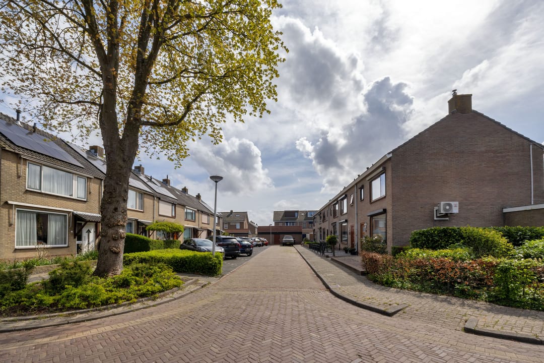 Photo 28 of Mr P J Oudweg 21