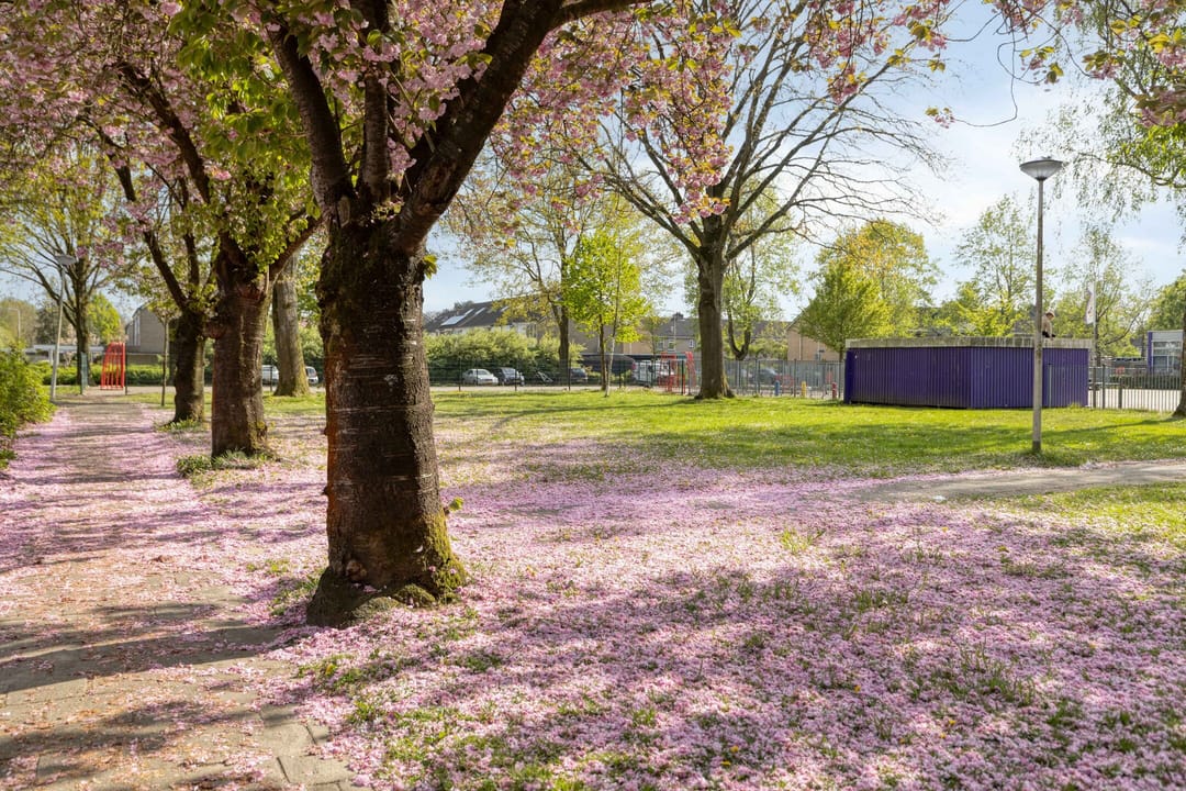 Foto 38 van Evelindeflat 61