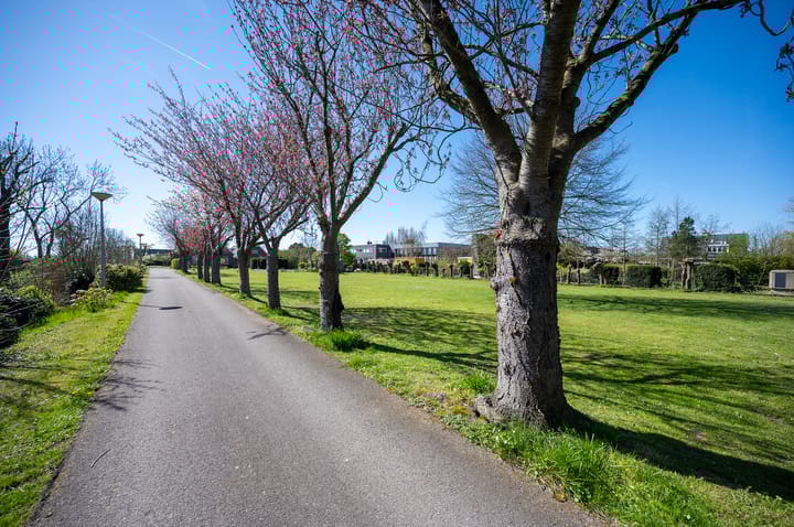 Photo 2 of Steekterweg 25-A