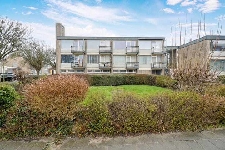 Foto 4 van Robertaland 38