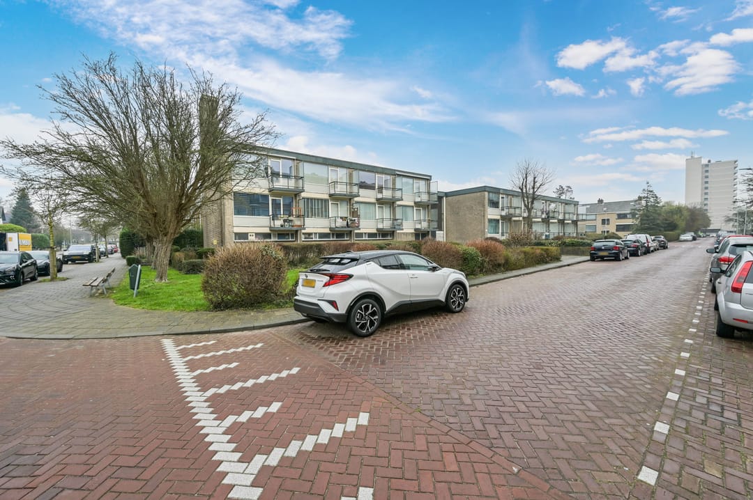 Photo 23 of Robertaland 38