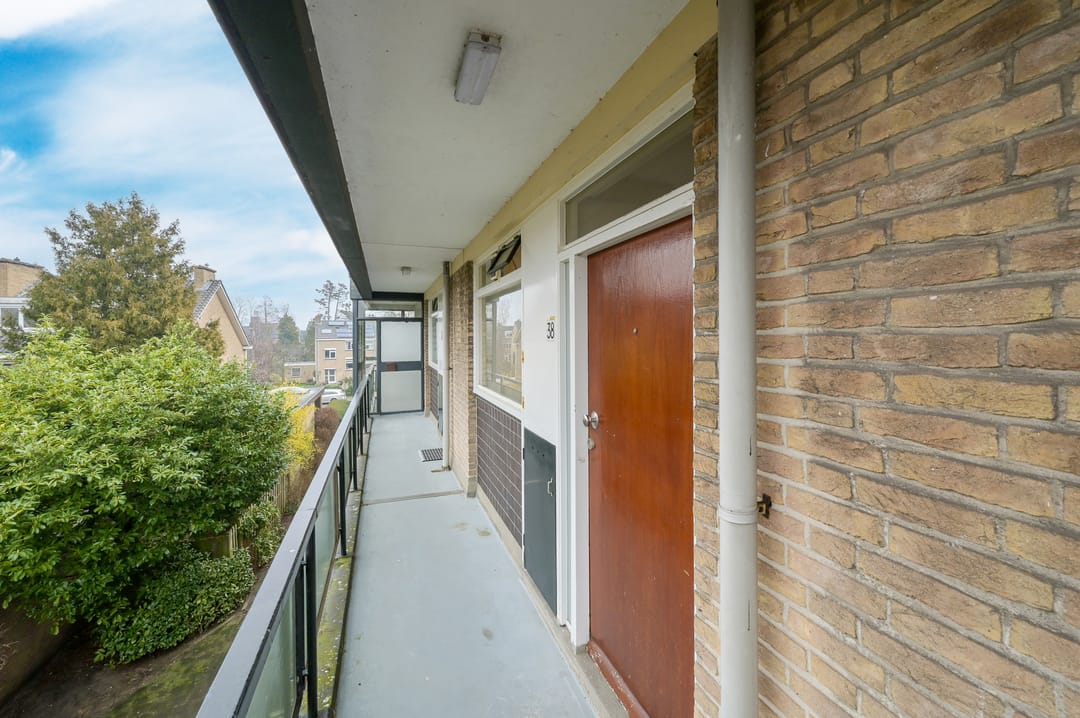 Photo 8 of Robertaland 38