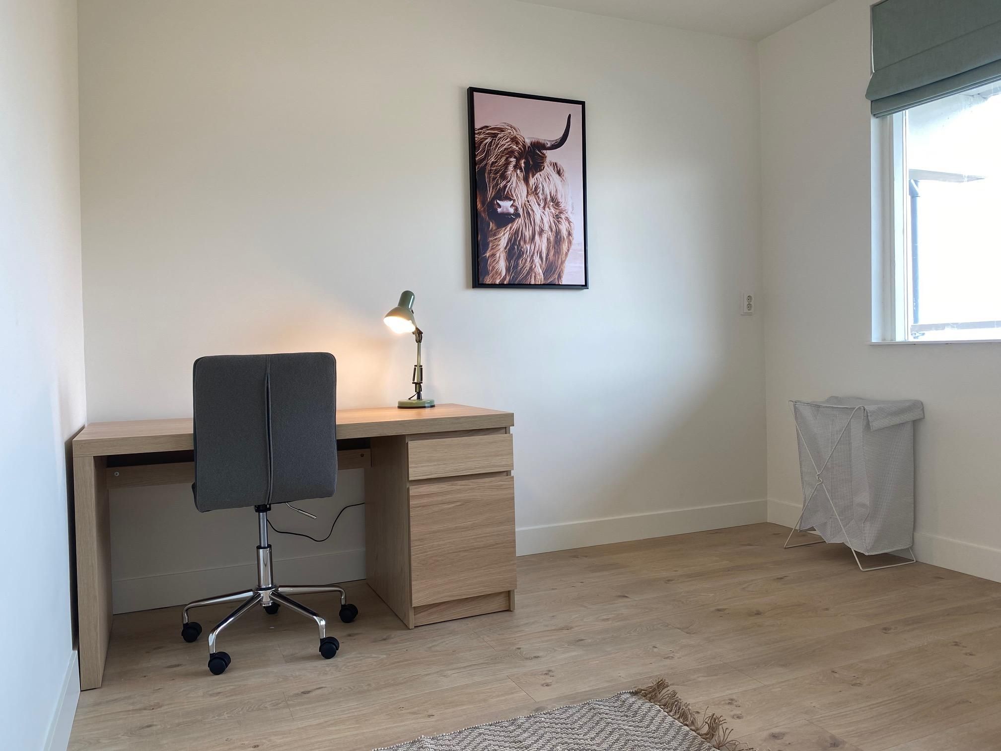 Foto 9 van Sirtemastraat 176