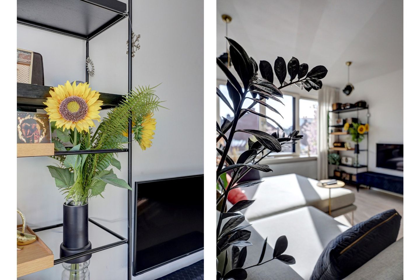 Foto 19 van Bolkruid 155