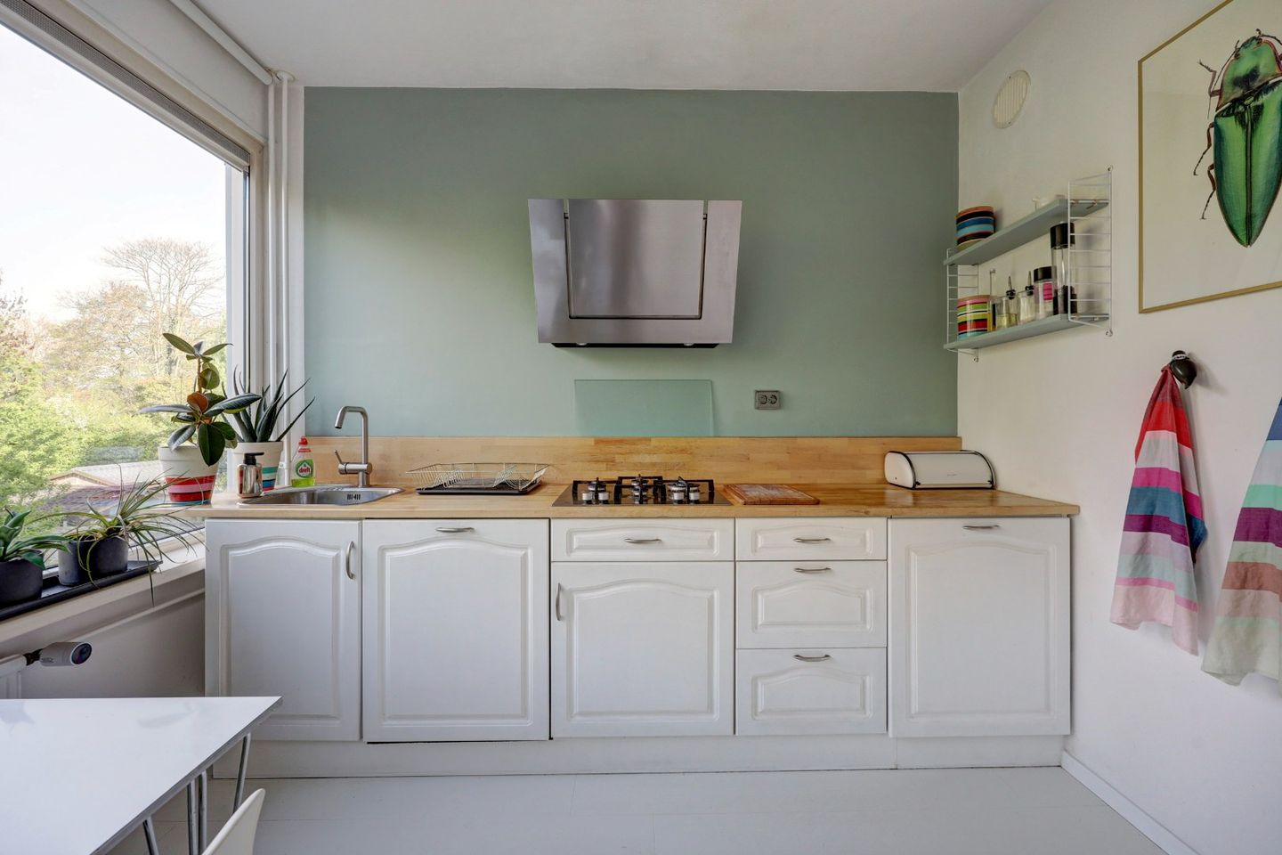 Foto 20 van Bolkruid 155