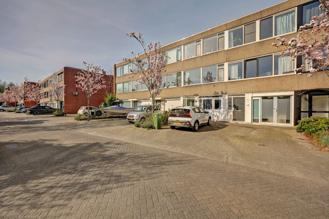 Foto 1 van Bolkruid 155