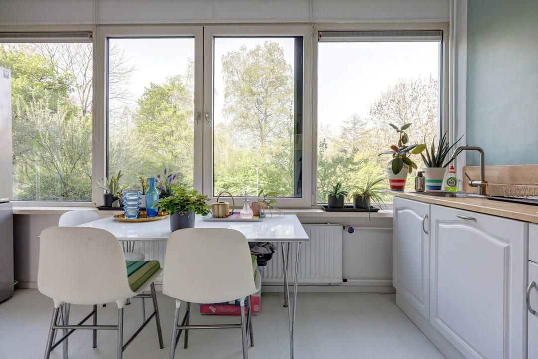 Foto 23 van Bolkruid 155