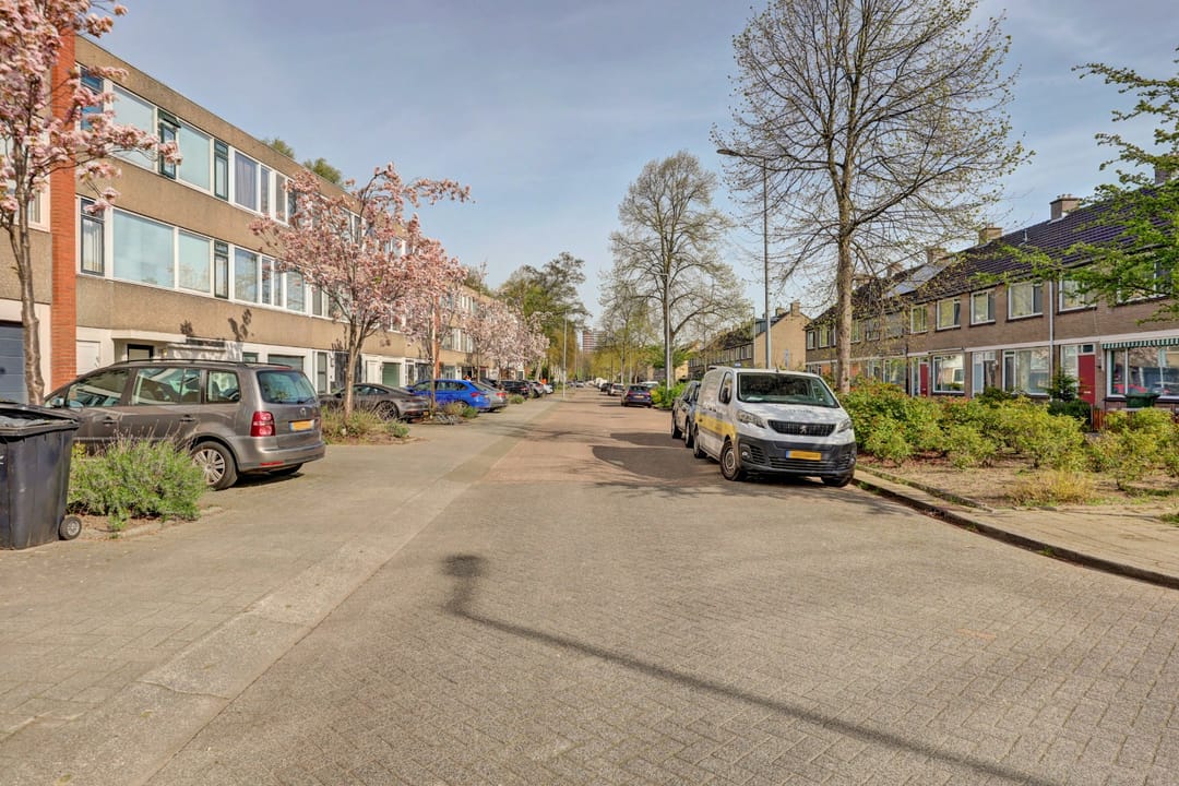 Foto 38 van Bolkruid 155