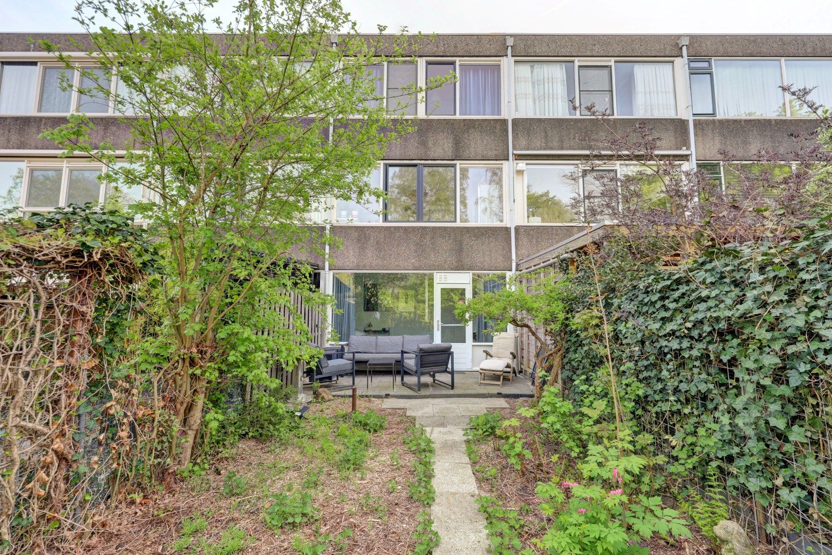 Foto 12 van Bolkruid 155