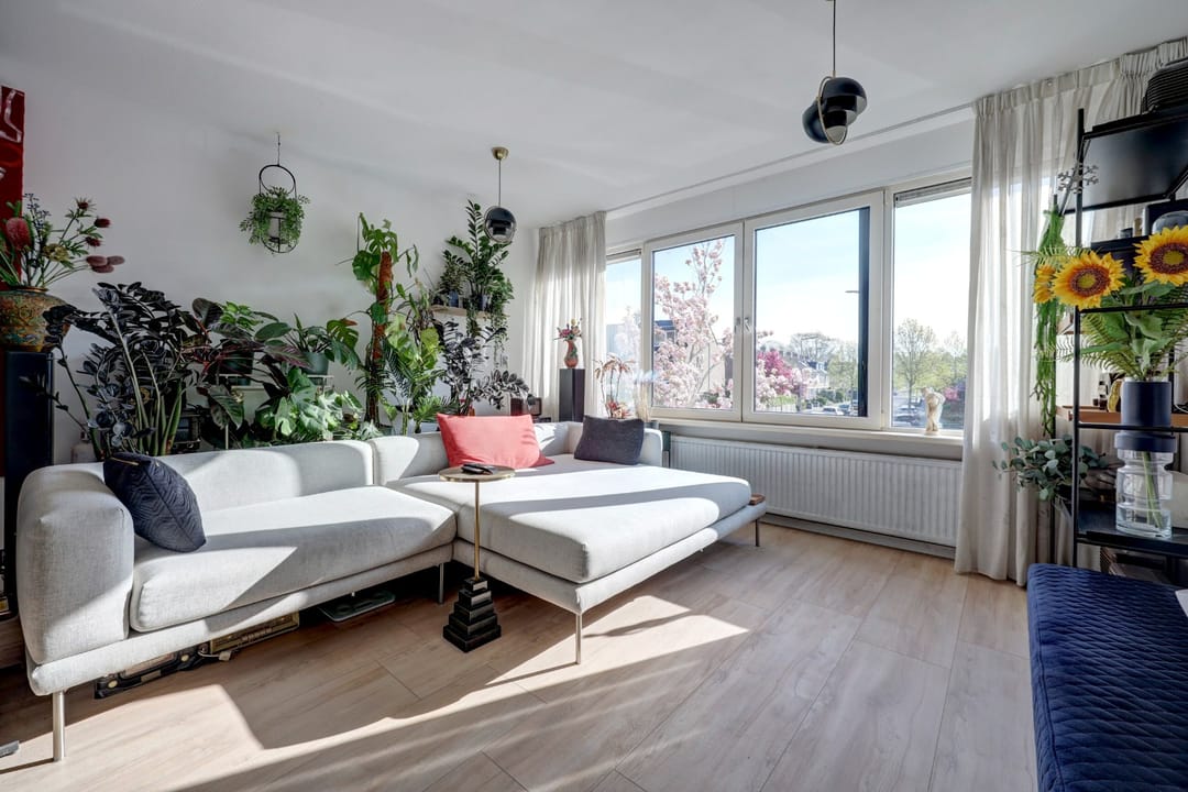 Foto 13 van Bolkruid 155