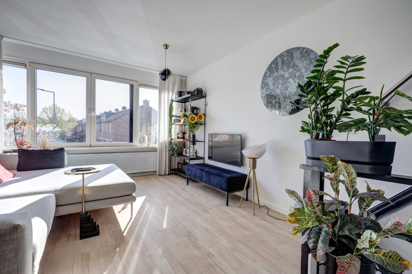 Foto 14 van Bolkruid 155