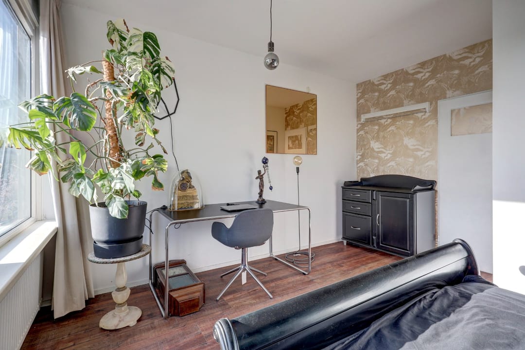 Foto 28 van Bolkruid 155