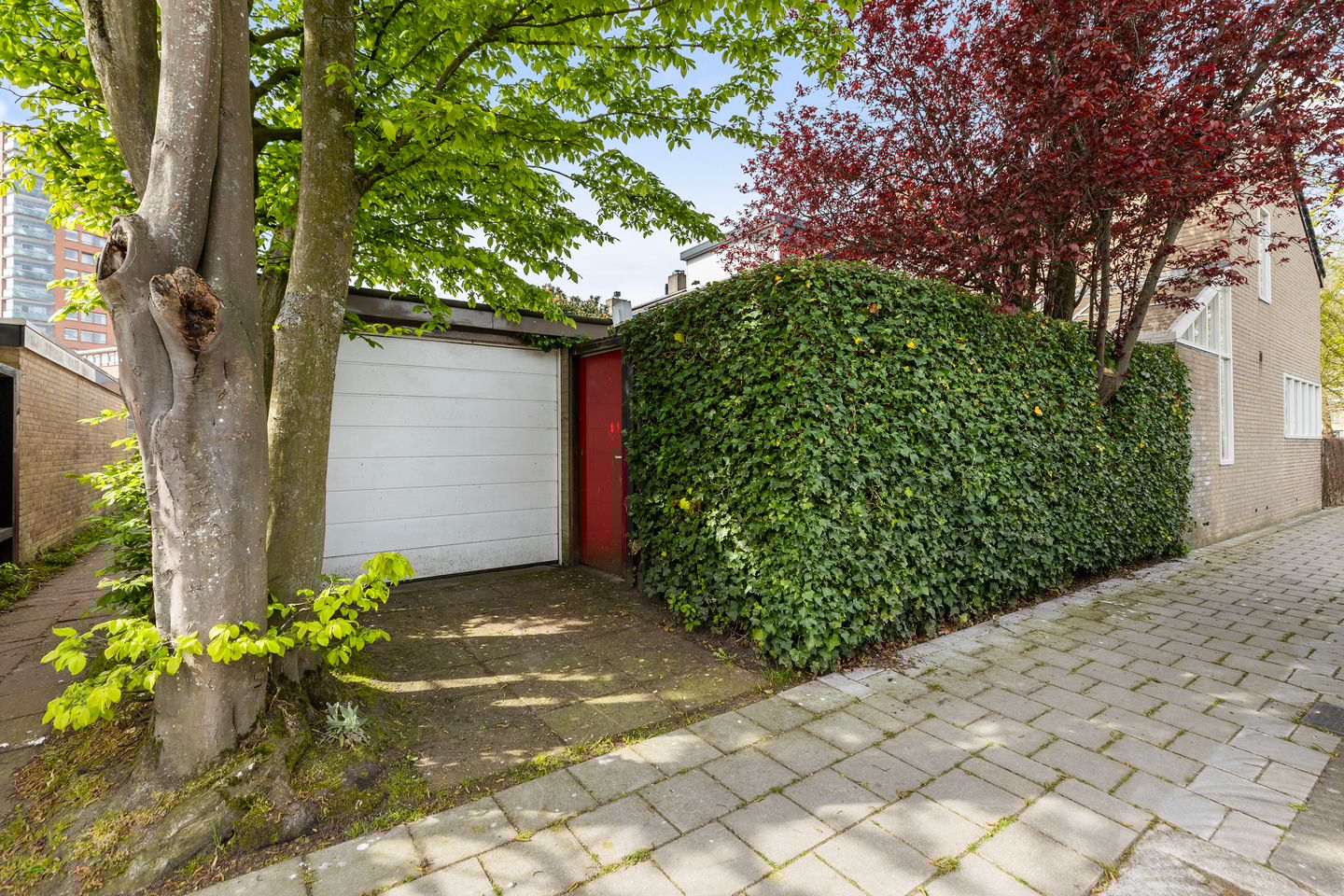 Photo 29 of Volgerland 8